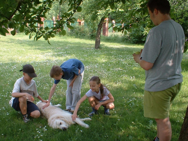 Dzieciaki z Falkorem