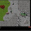 #tibia