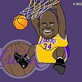 SHAQ #NBAAND1USABASKETMIAMIPIŁKASHAQ