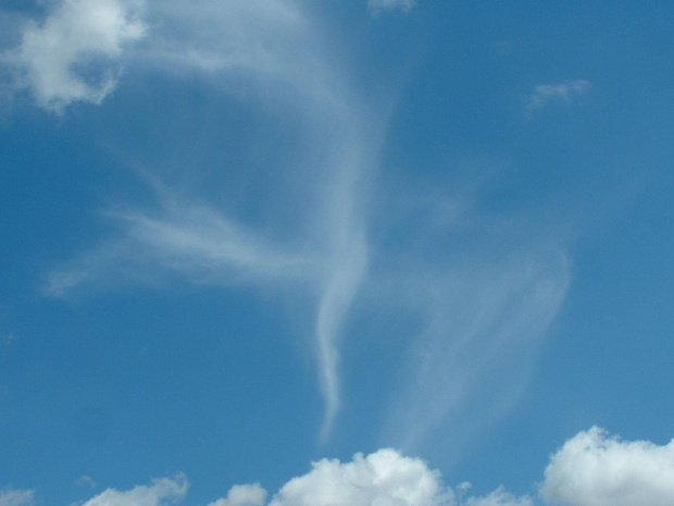 Cirrus - 18.08.2007 #CirrusChmura