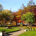 barwy jesieni #jesień #park #liście #barwy #miasto #przyroda #drzewa