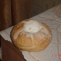 Caritas - Zlot Kraków 2007
