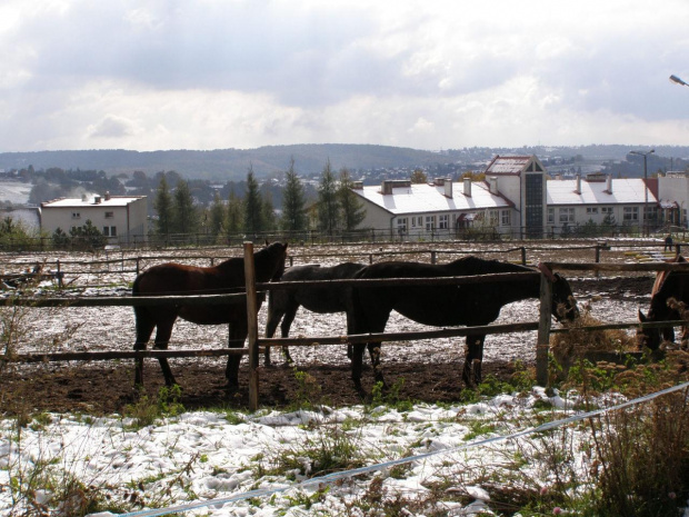 pierwszy śnieg