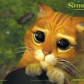 shrek kot osioł ogr bajka bajki tapeta tapety wallpaper wallpapers Deskopik www.dcmzone.net www.deskopik.dcmzone.net