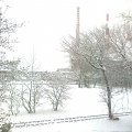 Z okna