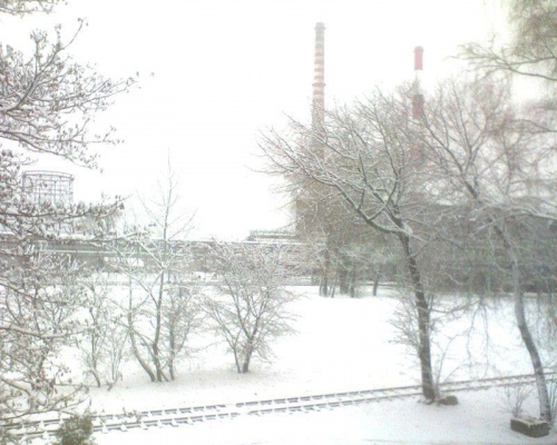 Z okna