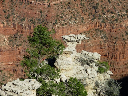 blok skalny wsród czerwonych mas skał kanionu-