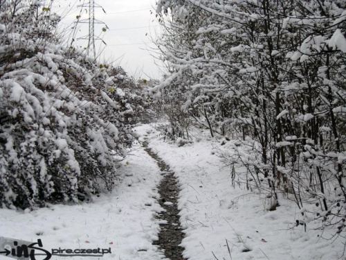 #fotografia #droga #śnieg #zima #las #drzewa