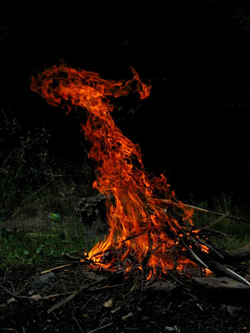 Duże ognisko + wiatr = depilacja ogniowa mojej prawej ręki ]:->
coś mi tu śmierdzi spalenizną :D
ps. tu też ponoć widać feniksa z głową zwróconą w prawo ;)
tym razem powstał z palonych notatek - w końcu mamy WAKACJE! #ogień #ognisko