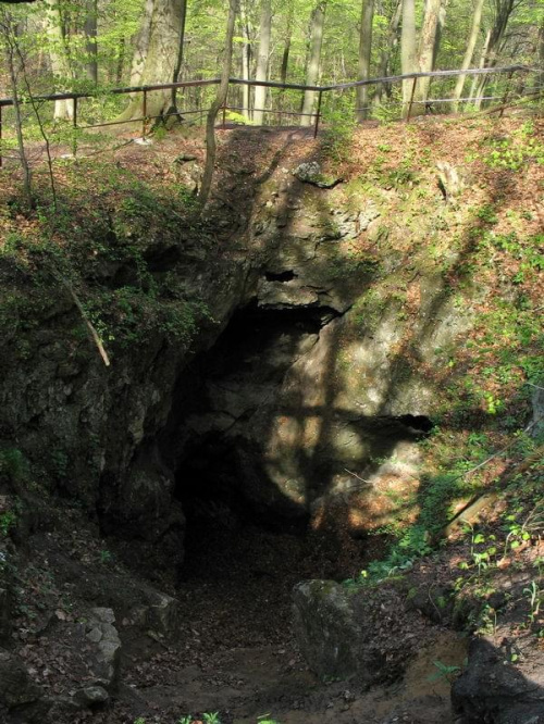 Jaskinia pod Sokolą Górą #jaskinie