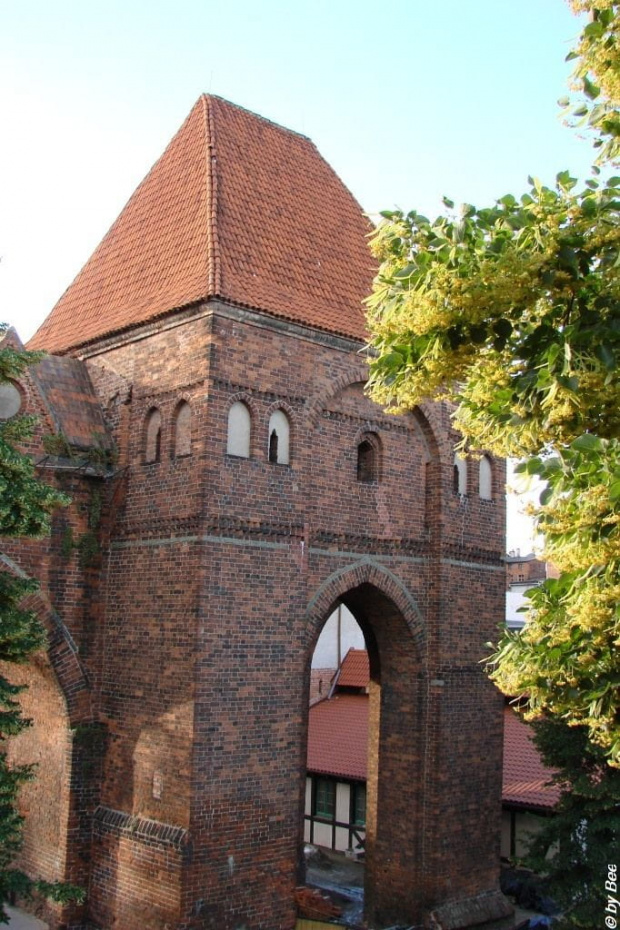 Zamek Krzyżacki w Toruniu #zamki