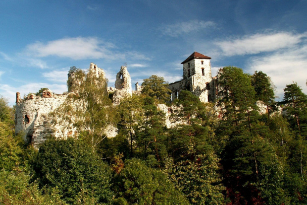 Zamek Tęczyn w Rudnie