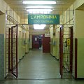 Lampownia