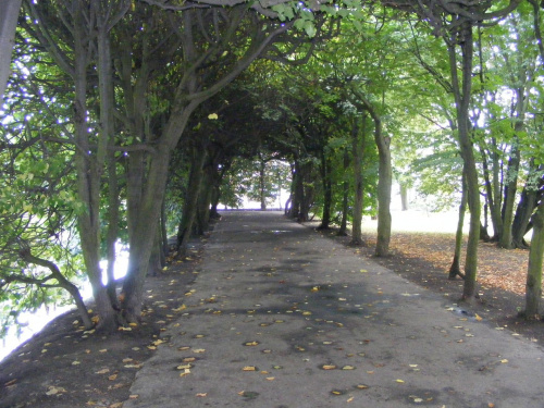 Park w Gdańsku-Oliwie