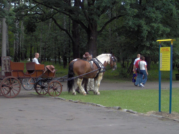 #XIIPiknikCountry #DąbrowaGórnicza2006 #motocykle #LongBob #Luciano #Veslari #WhiskeyRiver #Lonstar