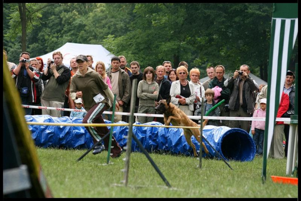 Pokaz Agility Wystawa Psów Olsztyn 2007