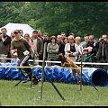 Pokaz Agility Wystawa Psów Olsztyn 2007