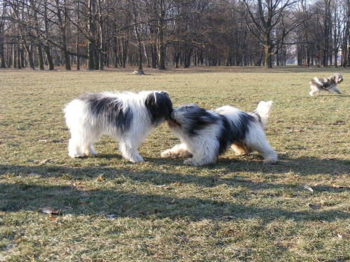 zabawa na całego :)