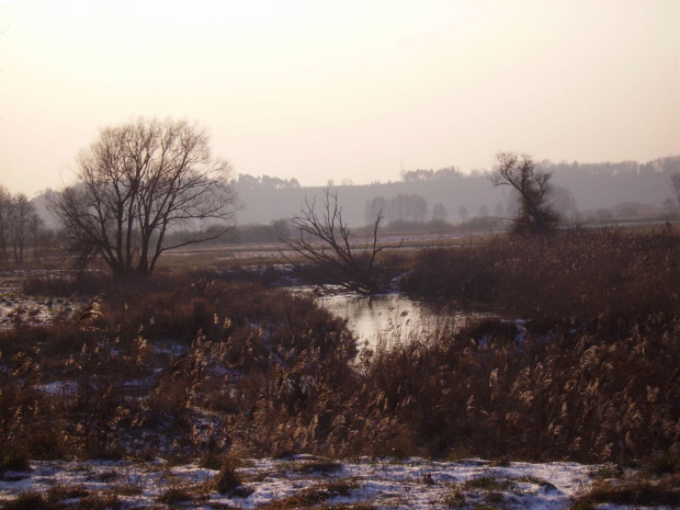 Stara Noteć #krajobraz #rzeka #zima #śnieg