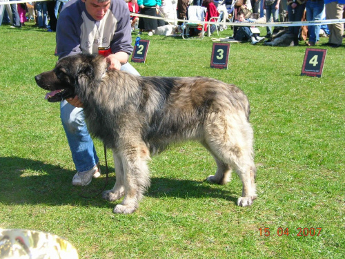 Częstochowa 2007