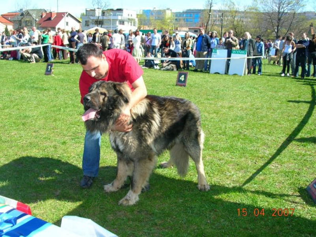 Częstochowa 2007