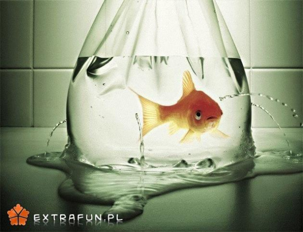 extrafun