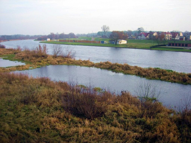 rz.Narew