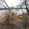 rz.Narew