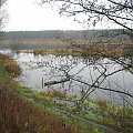 rz.Narew