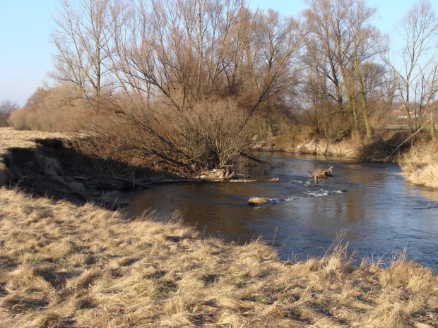 widoki nad Bobrem #Przyroda #widoki #rzeka #woda