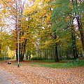 Park Chrobrego #Jesień #Park #Drzewa #Liście