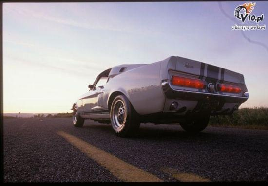 Mustang Cobra GT500 Super Snake z 1967 #MustangCobraGT500SuperSnake