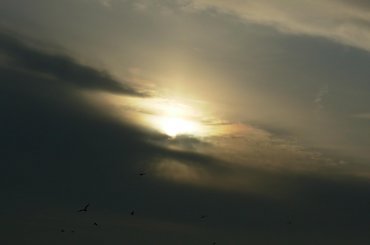 #rewa #mechelinki #szperk #ZatokaPucka #ZatokaGdańska #rybacy