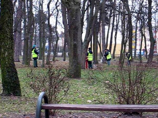 Porządkowanie parku przed nadejciem zimy