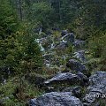 Pieniny Wąwóz Homole #Pieniny