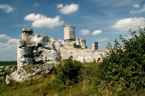 Zamek Ogrodzieniec Podzamcze