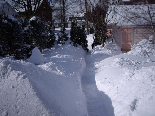 13 lutego 2008
zima na calego !!! #zima #Toronto