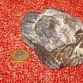 KRZEMIEŃ PASIASTY I DREWNO SKAMIENIAŁE Z OKOLIC RZESZOWA #Hobby