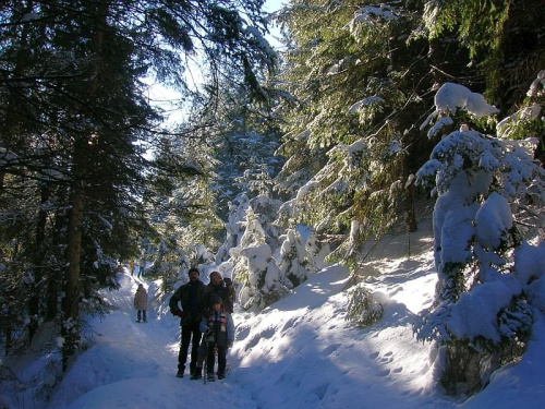 Zakopane 2-3.02.2008