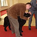 WYSTAWA TORUŃ 2008
