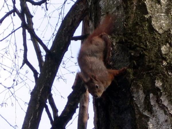 Mieszkańcy Parku Miejskiego