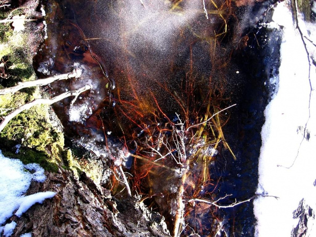 #zima #luty #przyroda #natura #lód