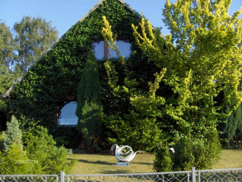 zielony domek w Ratzeburgu, Niemcy