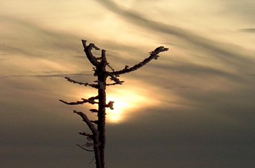 Turbacz 28-31 Stycznia 2008 #Matys #turbacz #podhale #gorce #gpn #czolo #turbacza