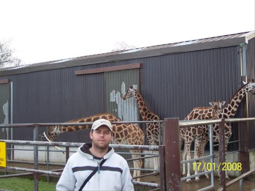 Fota-Zoo #Fota