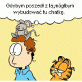 Garfield 28.02.2008r.