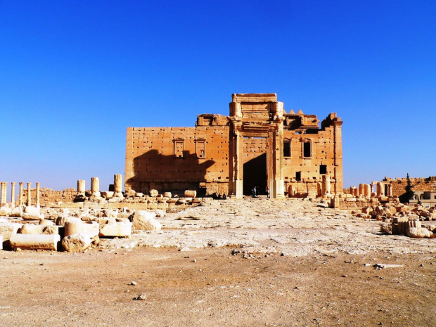 Palmyra