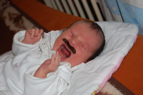 Lesław Z junior