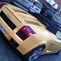 Gallardo Spyder