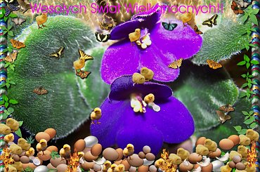 Dla wszystkich moich Przyjaciol i odwiedzajacych z okazji zblizajacych sie Swiat Wielkanocnych! #swieta #zyczenia #grafika